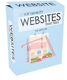 10 TOP QUALITY WEBSITES THAT SELL PLR ARTICLES