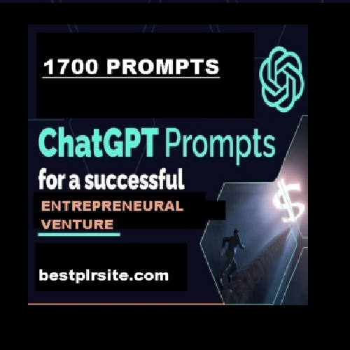 Prompts entrepreneural