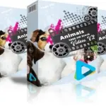 Animals 1080 hd stock videos v2.1