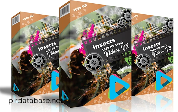 Insects 1080 hd stock videos v2